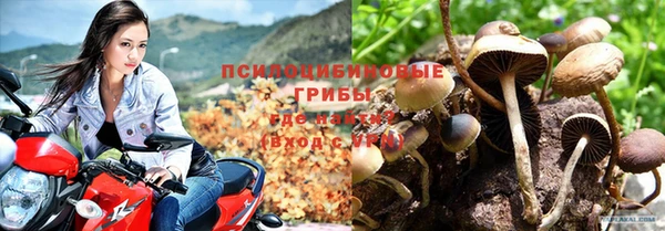 твердый Алексеевка