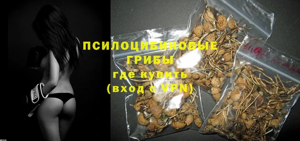 МДПВ Алексин